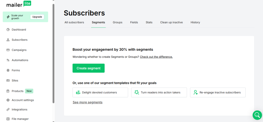 MailerLite subscriber management dashboard with audience segmentation